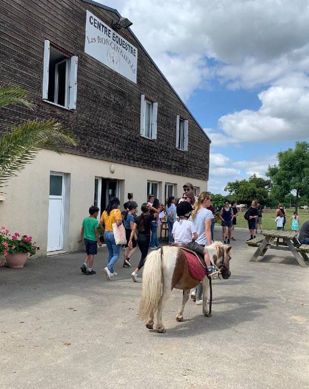 Stage d'équitation à Angers